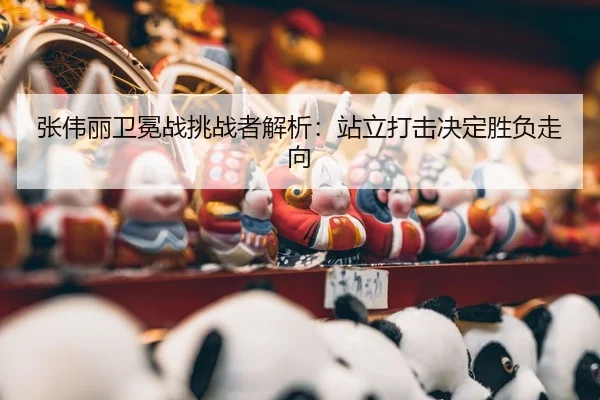 zhang-wei-li-wei-mian-zhan-tiao-zhan-zhe-jie-xi-zhan-li-da-ji-jue-ding-sheng-fu-zou-xiang-3-571.jpg