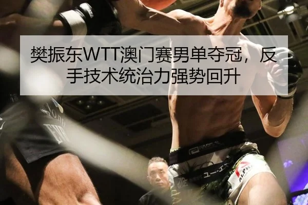 樊振东WTT澳门赛男单夺冠，反手技术统治力强势回升
